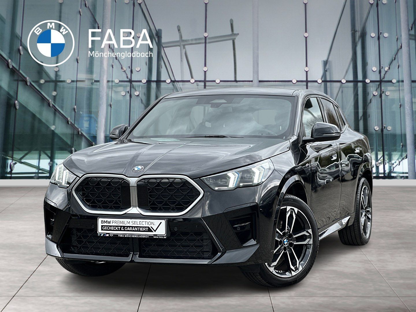 BMW X2 sDrive20d M Sportpaket HK HiFi DAB LED Shz