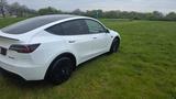 Tesla Model Y SR RWD 19 Zoll AHK Werksgarantie - Tesla Model Y in Bielefeld