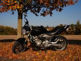 Honda Cb 600 f Hornet - Offers