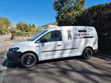 Volkswagen Caddy 2,0TDI 75kW  Dog Walker Ausbau - Volkswagen: Kleinbus, Ausbau