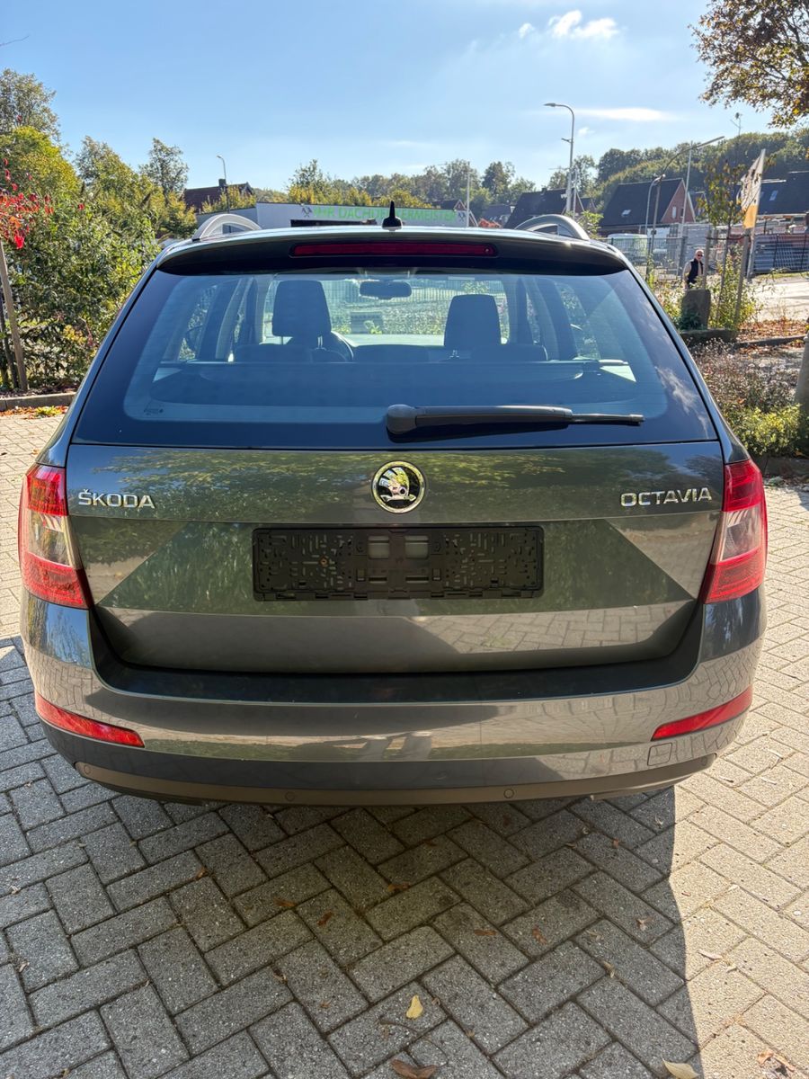 Foto 11 van SKODA Octavia
