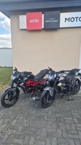 Benelli BN 125, EURO 5+ Mod. 25, sofort lieferbar - BENELLI BN 125