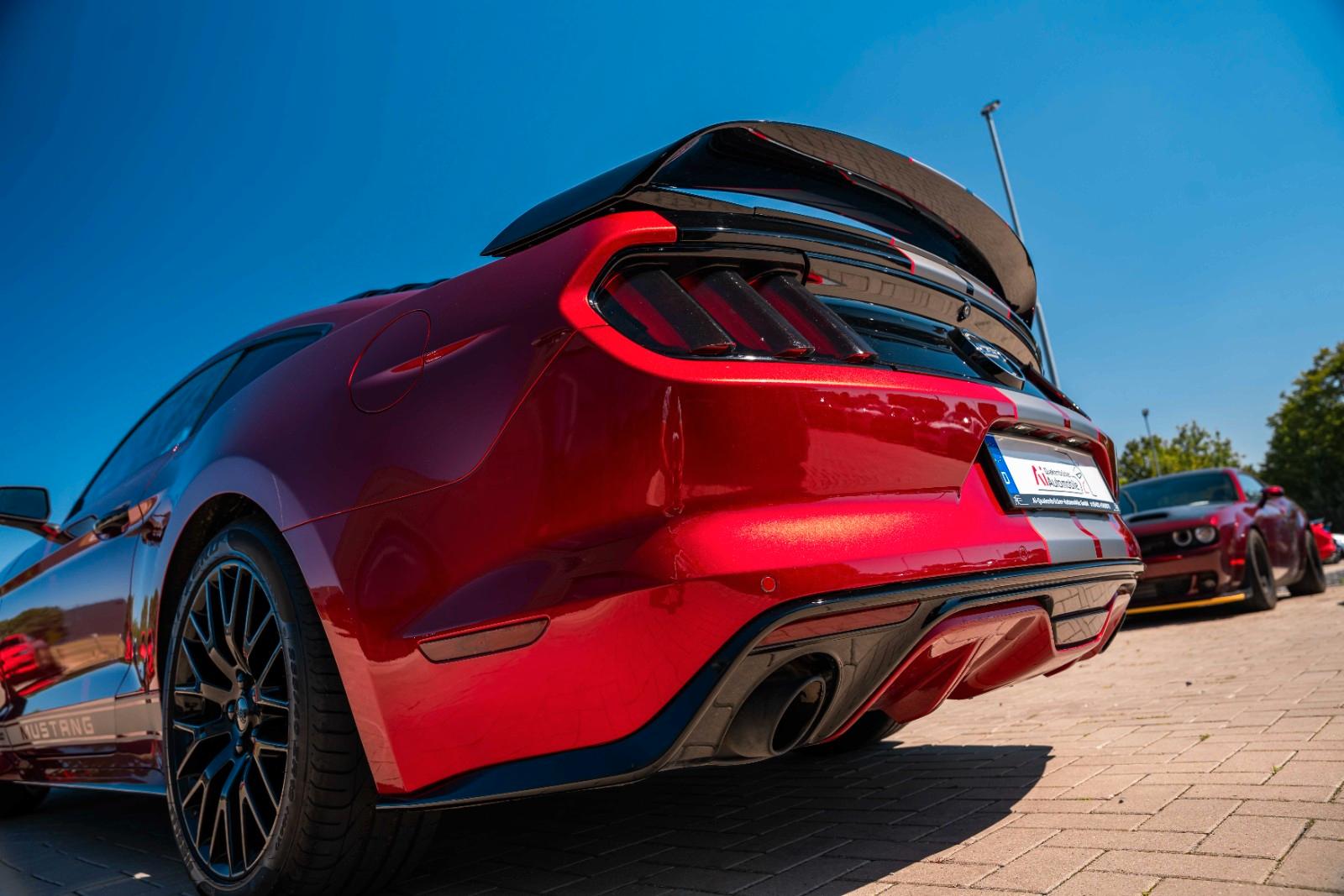Ford Mustang GT 5,0 Gt 350 SHELBY PREMIUM VOLL