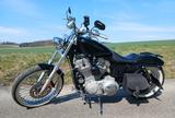 Harley-Davidson Sportster, 883, TÜV neu - HARLEY-DAVIDSON 2001 SPORTSTER