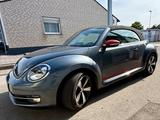 Volkswagen Beetle 1.4 TSI Cabriolet "Club", Volleder - Volkswagen Beetle: Club