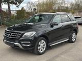 Mercedes-Benz ML 350 CDI BlueTec STHZ Pano AHK R-Kam Leder - Mercedes-Benz ML-Class in Stuttgart