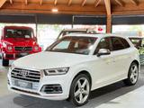 Audi SQ5 3.0 TFSI quattro MEGA AUSSTATTUNG - Audi SQ5 Gebrauchtwagen in Stuttgart