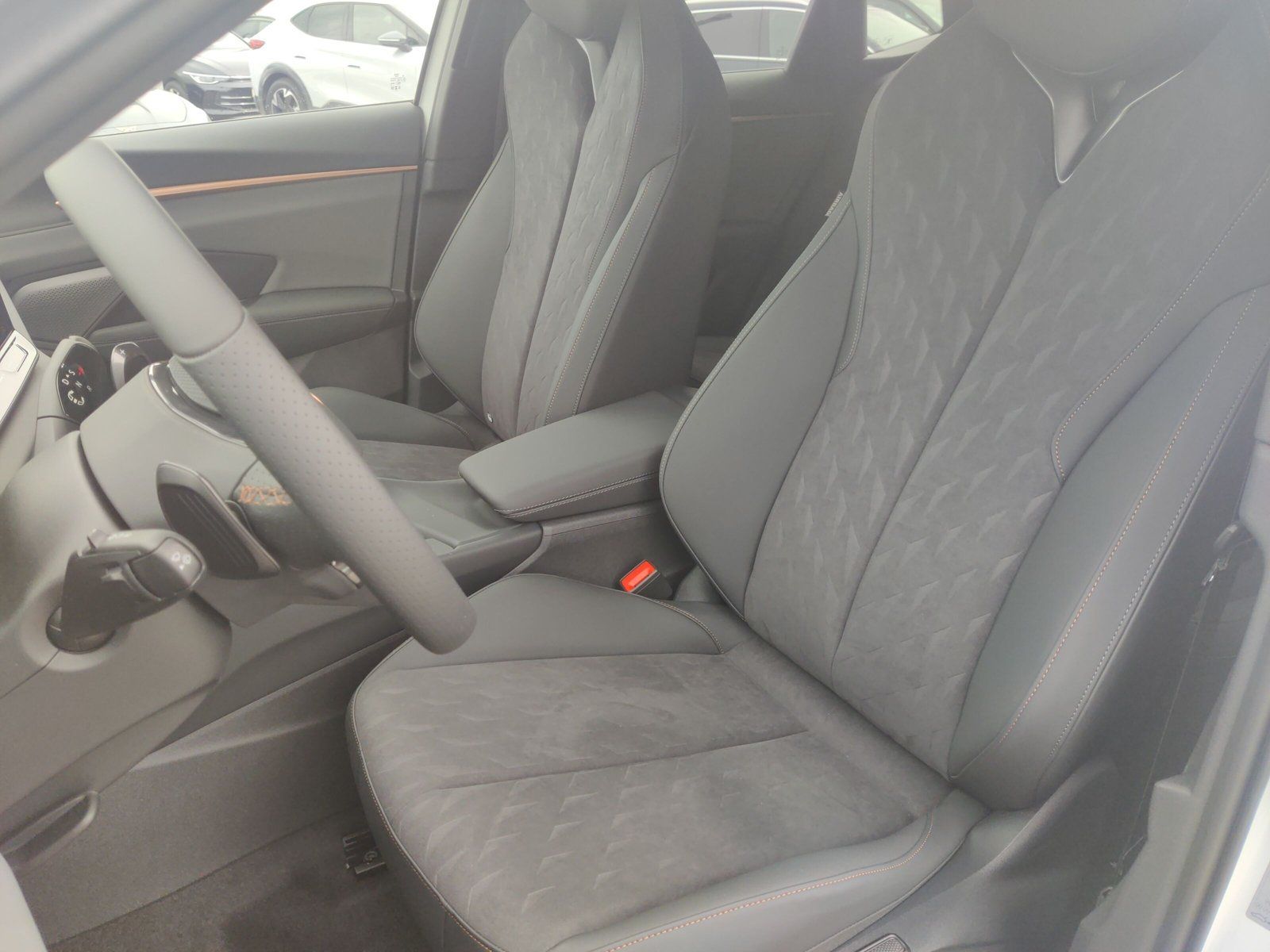 Cupra Terramar - Bild 12