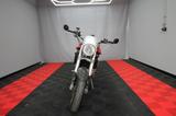 Cagiva Raptor 650 Doppel Sportauspuff Brembo - CAGIVA RAPTOR