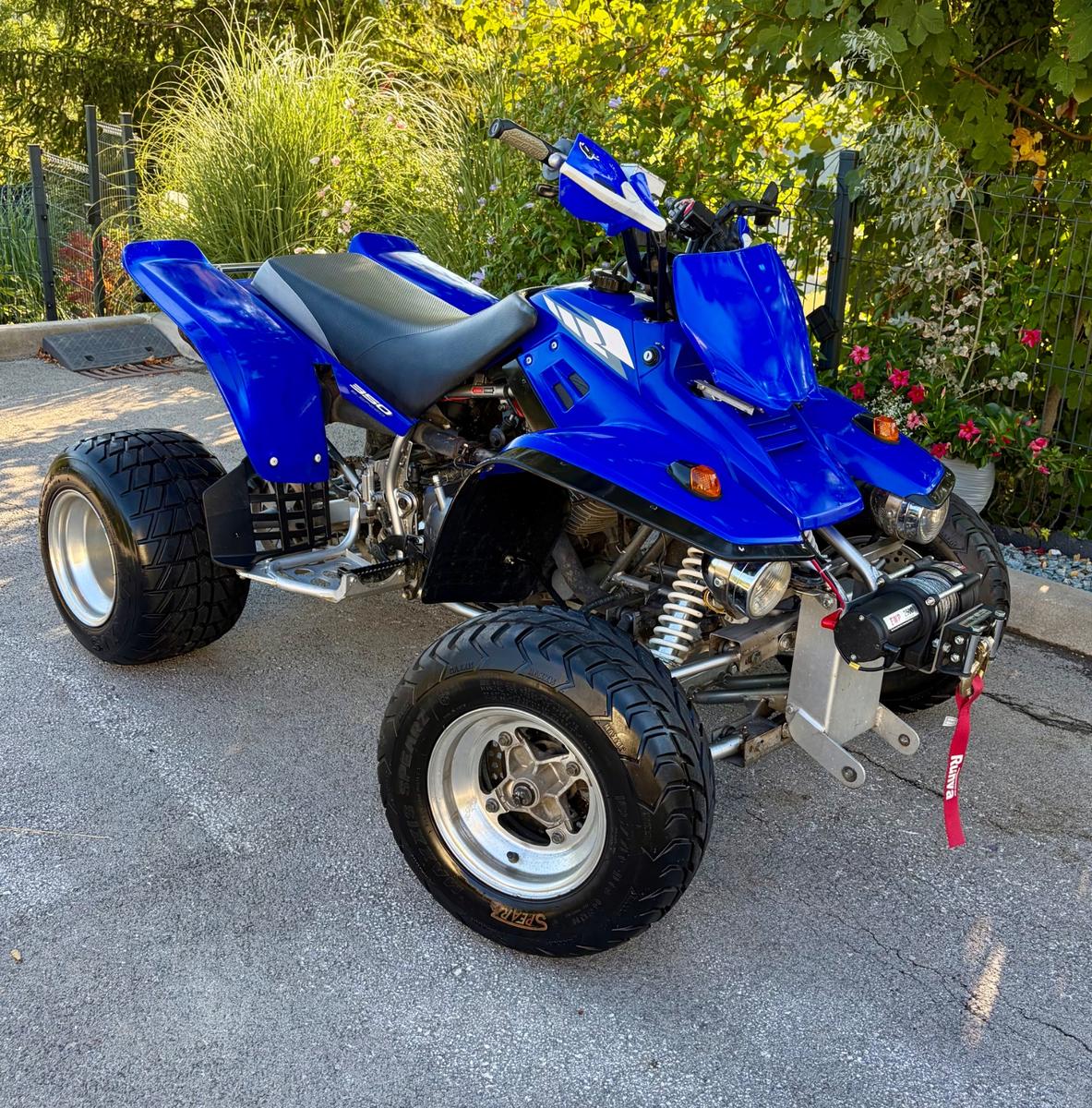Yamaha Warrior 2004 — вигляд ззаду
