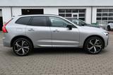 Volvo XC60 T8 RC AWD Ultra Dark*LUFT*360*ACC*AHK - Volvo XC60 Jahreswagen