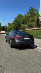 Audi S5 TDI tiptronic quattro Sportback Pano - Audi S5 in Stuttgart