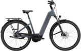 Pegasus Solero EVO 7F Belt L - Pegasus E-Bikes