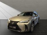 Lexus UX 250h*F-SPORT-D.*1HD*NAVI*LEDER* 15J-GARANTIE* - silberne Lexus UX