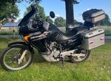 Honda Transalp XL 650  - HONDA TRANSALP 650