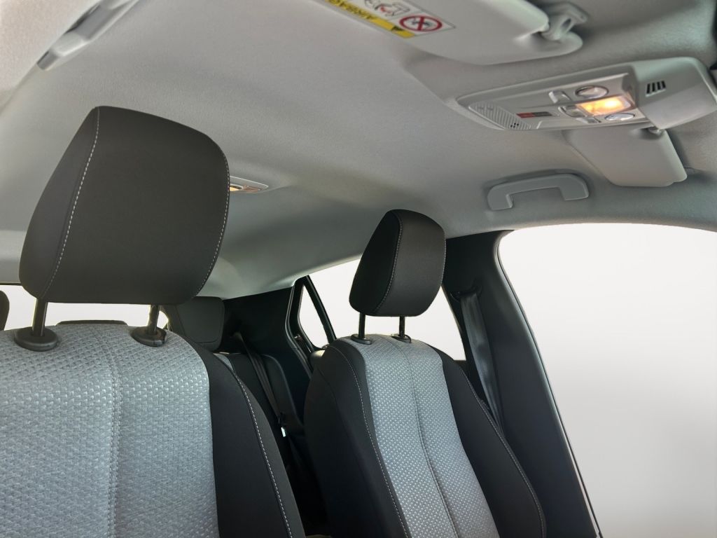 Fahrzeugabbildung Opel Corsa Electric Edition (F)