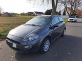Fiat Punto 1.2 , 69 PS, Tüv Neu,  108000 km - Fiat Punto in Frankfurt (Main)