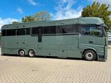 Mercedes-Benz 2651 STX 5 Pferde DOP. POP-OUT+POP-UP  EXKLUSIVE - Tier- & Pferdetransport für 2 Pferde