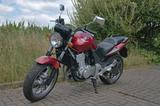 Honda CBF500 ,  tiefergelegt, ABS, gedrosselt - Offers