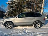 BMW X5 4.6is - - BMW X5: 4.6