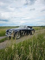 Austin Healey HMC MK IV  TÜV und H Gutachten Neu! - Austin Healey: Hmc