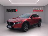 Mazda CX-30 2.0 MHEV Edition 100 *Navi/LED/360°/Bose* - Mazda Gebrauchtwagen in Karlsruhe