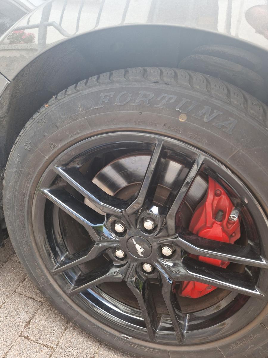 Ford Mustang 5.0 Ti-VCT V8 GT Auto GT