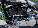 Harley-Davidson FLSTS Heritage Springer 100th Anniversary - Angebote entsprechen deinen Suchkriterien