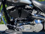 Harley-Davidson FLSTS Heritage Springer 100th Anniversary - Angebote entsprechen deinen Suchkriterien