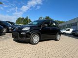 Fiat Panda Neues Modell 1.0 *5 Sitzer Klima PDC DAB* - Fiat Panda Tageszulassungen