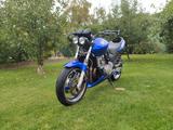 Honda Hornet 600 PC 36 - HONDA HORNET 600