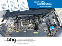 Volkswagen T-Roc - Vorschau Bild 16