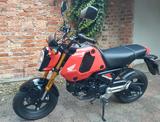 Honda MSX 125 Grom mit viel Zubehör - Offers