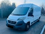 Fiat Ducato 2,3 Multijet L4 H2 Hoch-Lang  - Fiat Ducato: Lang