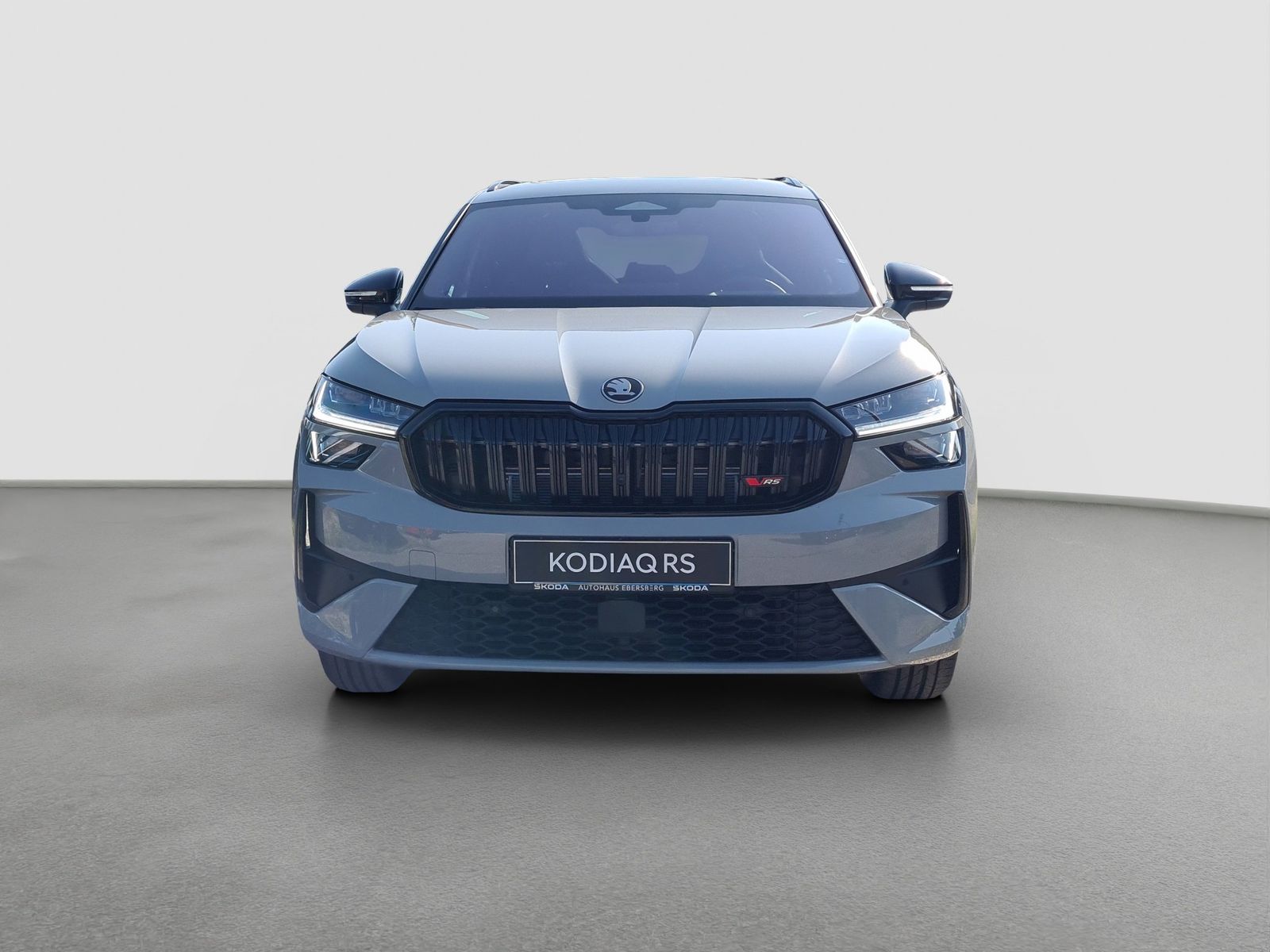 Skoda Kodiaq - Bild 3