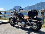 Harley-Davidson Fat Bob CVO "sehr selten" Cryptic Black - HARLEY-DAVIDSON 2010 CVO