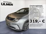 BYD Dolphin 150KW Comfort Leder Navi Voll - graue BYD DOLPHIN