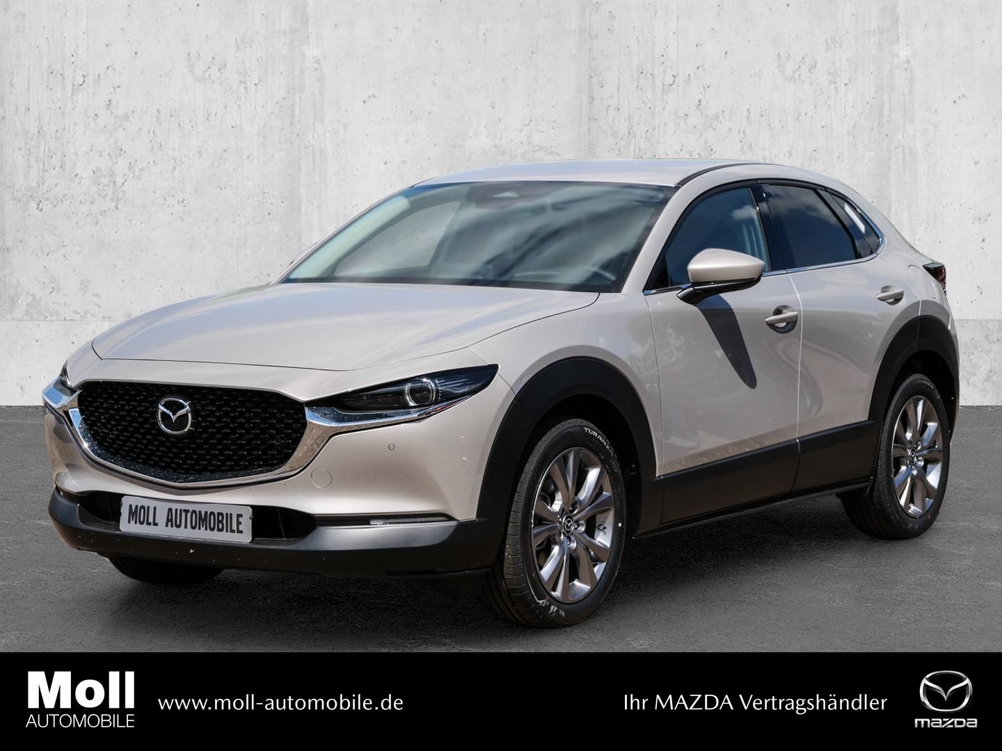 Mazda CX-30 2025 2.5L e-SKYACTIV G 140ps 6MT FWD Exclu