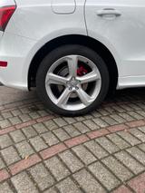 Audi SQ5 3.0 TDI competition tiptronic quattro - - Audi SQ5 in Düsseldorf