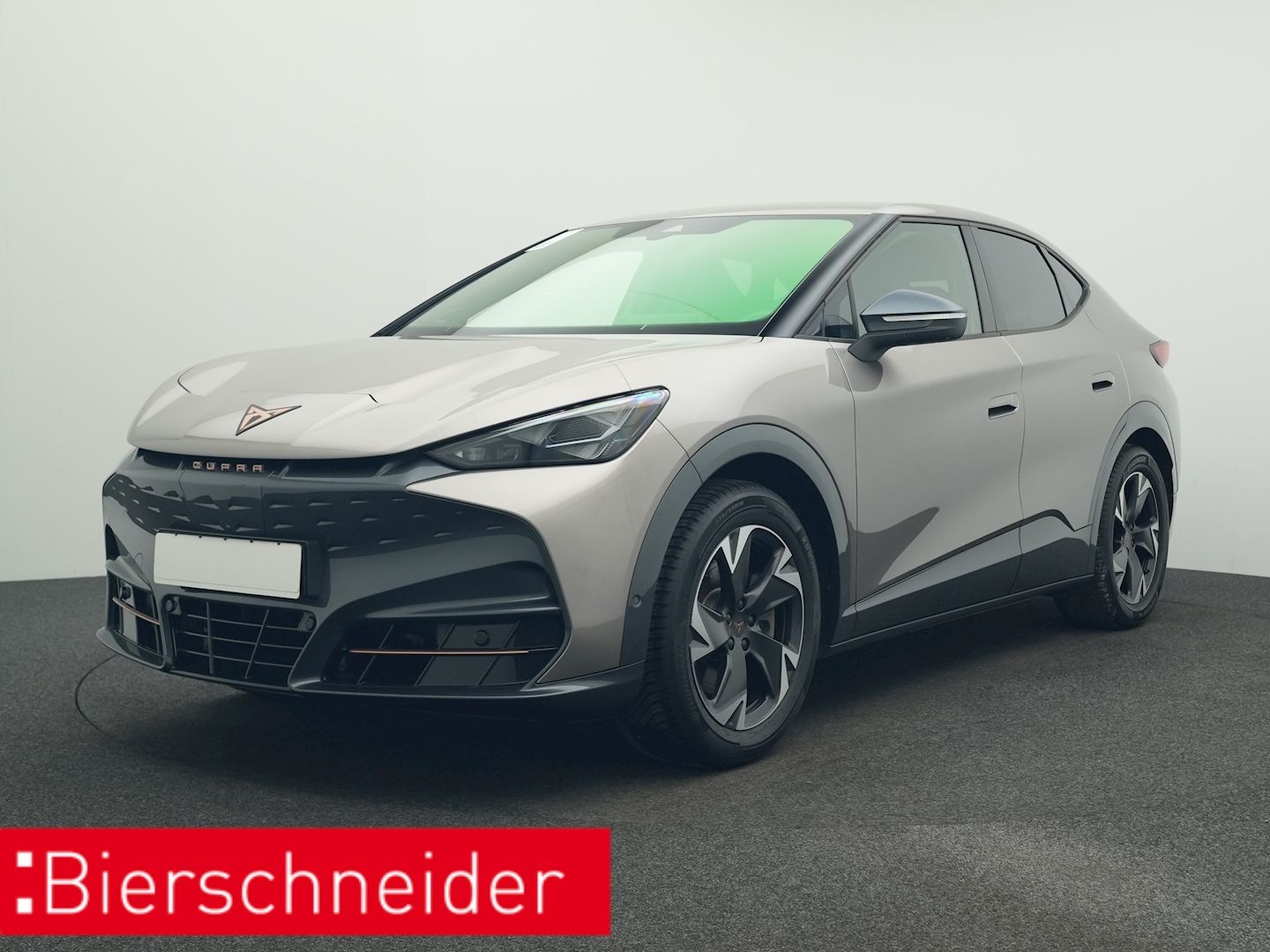 Cupra Tavascan 5-J-GAR NAVI KAMERA LED