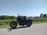 Honda Rebell CMX 500 - Offers matching your search criteria
