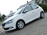 Skoda Fabia Clever 1.0 TSI *ACC*Klimaaut*SHZ*App*MFL* - Skoda Fabia Gebrauchtwagen in Nürnberg