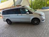 Mercedes-Benz V 250 d EDITION lang EDITION - Mercedes-Benz V 250 Gebrauchtwagen