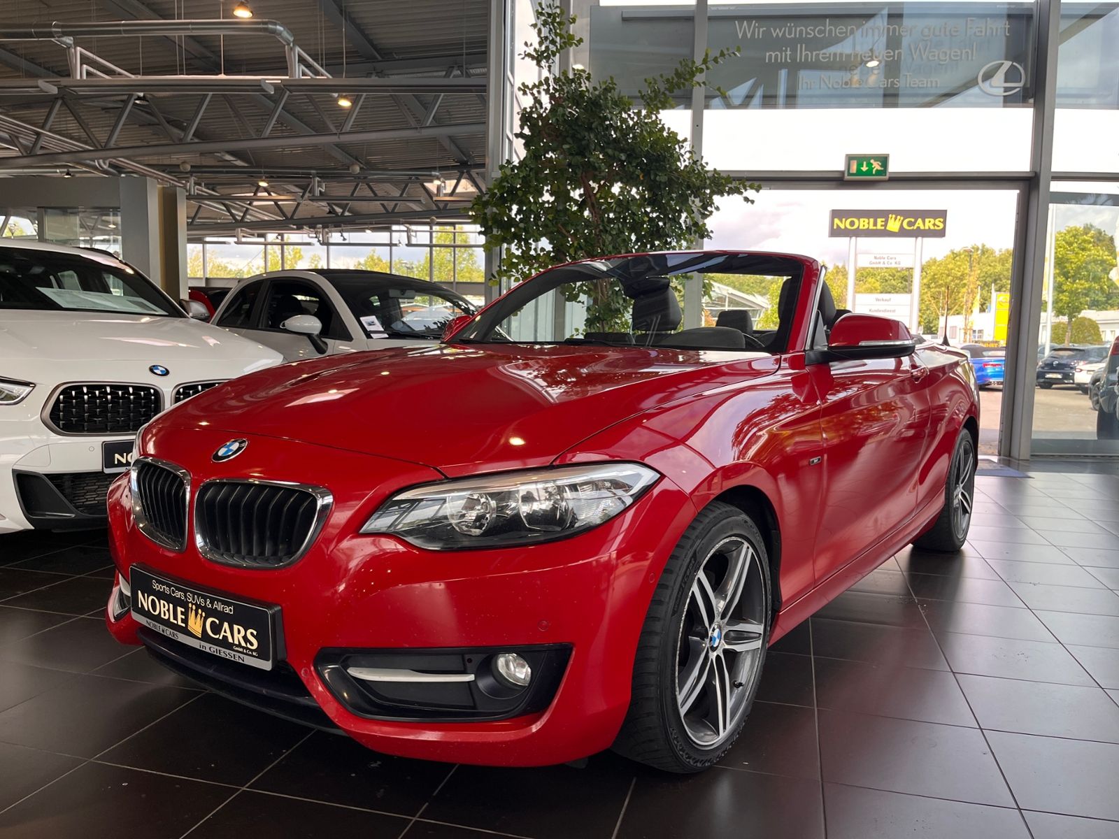 Fahrzeugabbildung BMW 220d Cabrio KLIMA NAVI ALU