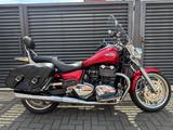 Triumph Thunderbird nur 3351 km |Top |3,99% Finanzierung - FINANZIERUNG