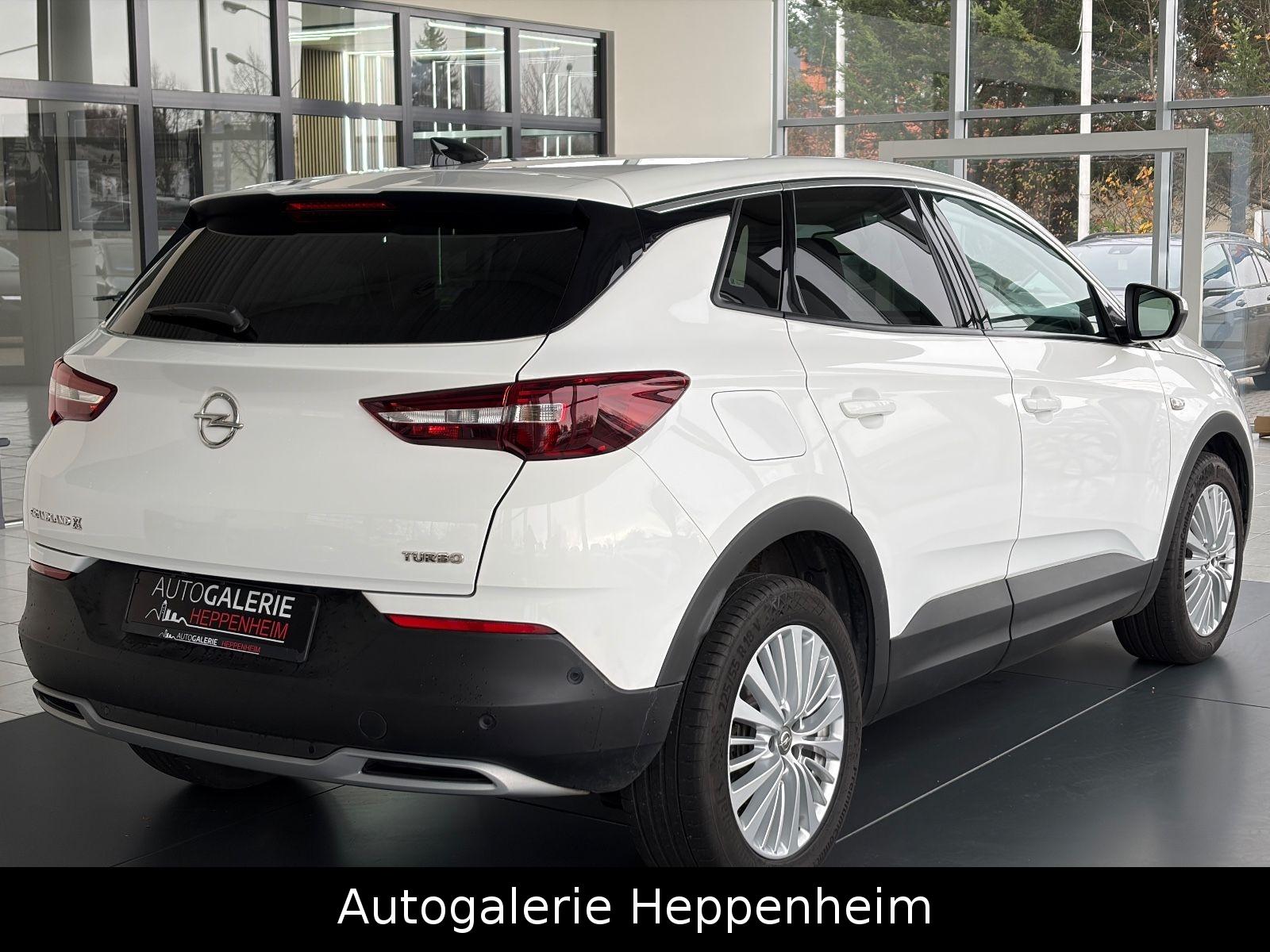 Opel Grandland (X)Innovation/AUT/NAV/SHZ/L-HEIZ/R-KAM