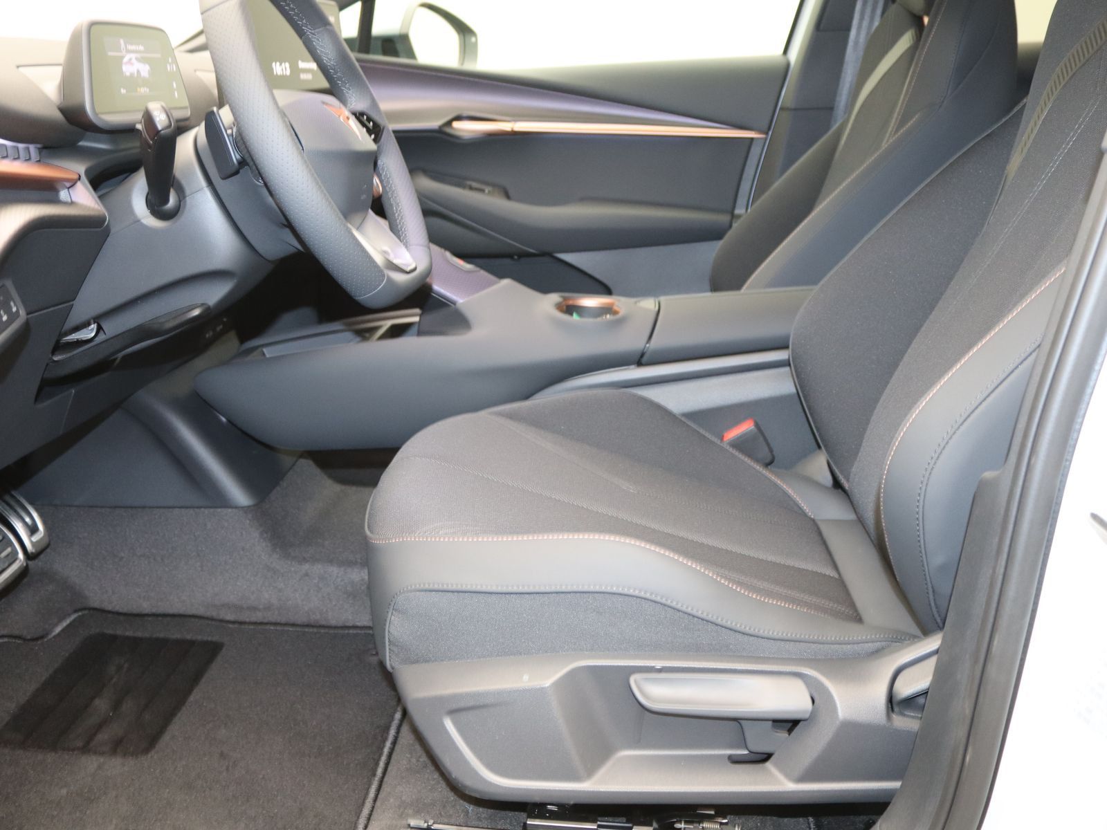 Cupra Tavascan - Bild 6