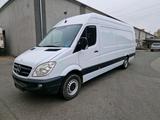 Mercedes-Benz Mercedes Sprinter 313 2.2 CDI Maxi jumbo l... - Mercedes-Benz Sprinter aus 2009: 313 Cdi