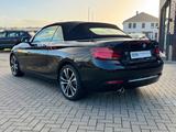 BMW 218 Cabrio Luxury Line *Leder*LED* - BMW 218 mit Benzin-Antrieb: Cabrio, Automatik