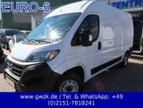 Fiat Ducato Kasten 350 L2H2 Tempomat/ PDC/Kamera - Fiat Ducato aus 2021